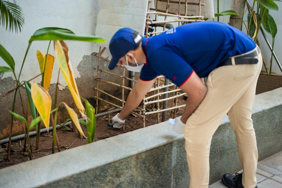 Cover photo of Easy Pest Control